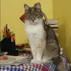 Отзыв от Карина Поликарпова